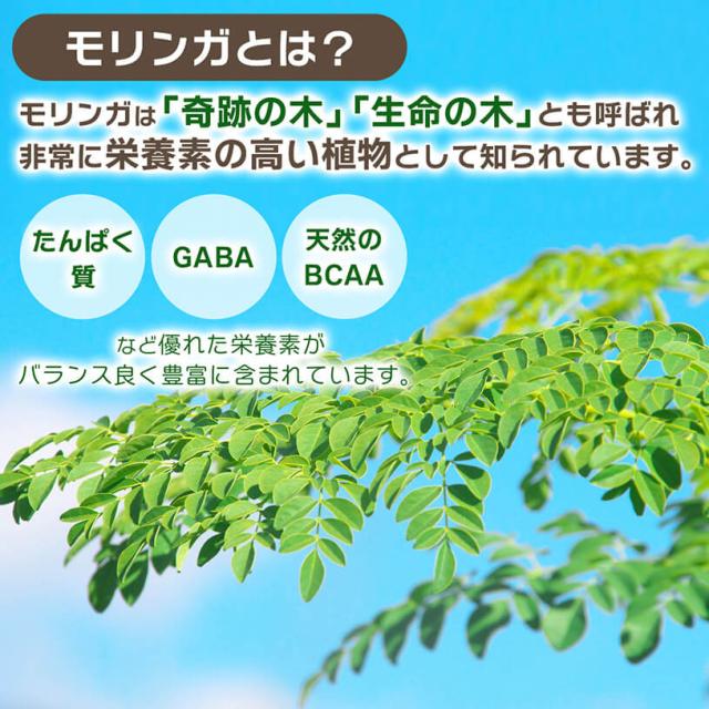 モリンガ タンザニア産